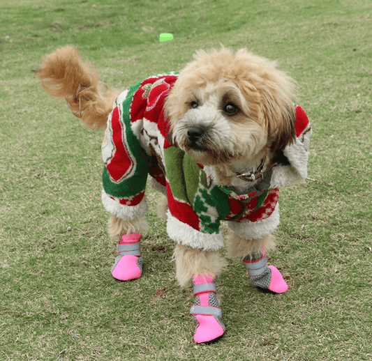 Luminous Comfort Stride: The Ultimate Dog Walking Shoes-0